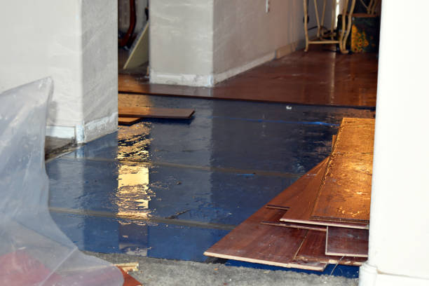 Professional Crawl Space Water Removal technician working in Truckee, CA